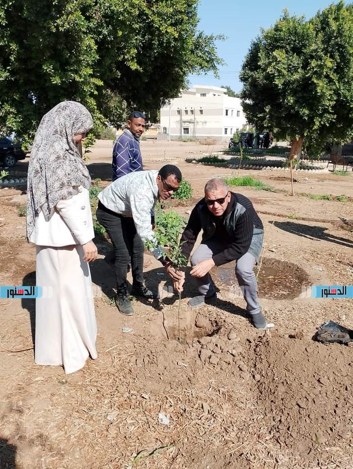 حملات تشجير مستمرة وزراعة شتلات بمركز البداري ضمن مبادرة زراعة 100 مليون شجرة 